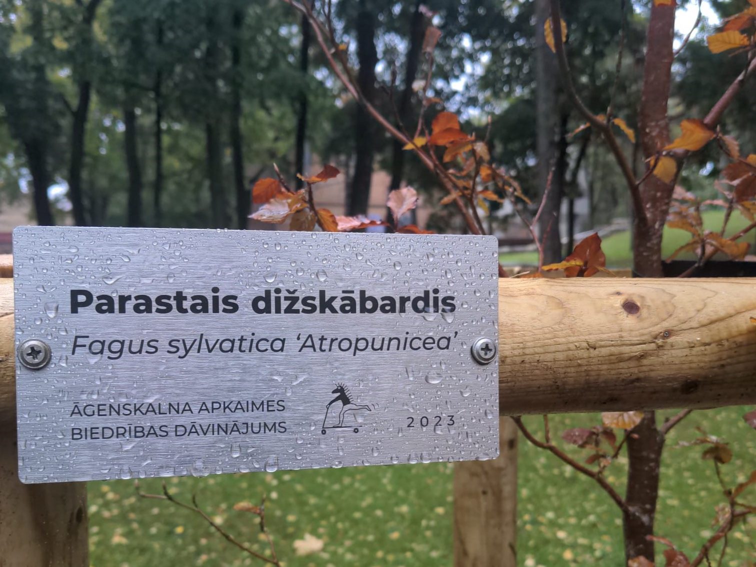 Dāvana zaļākai apkaimei